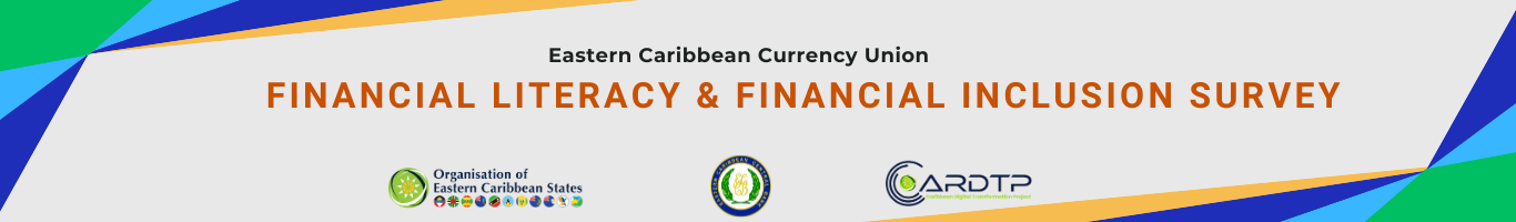 Financial Literacy and Financial Inclusion Survey Financial Literacy and Financial Inclusion Survey
