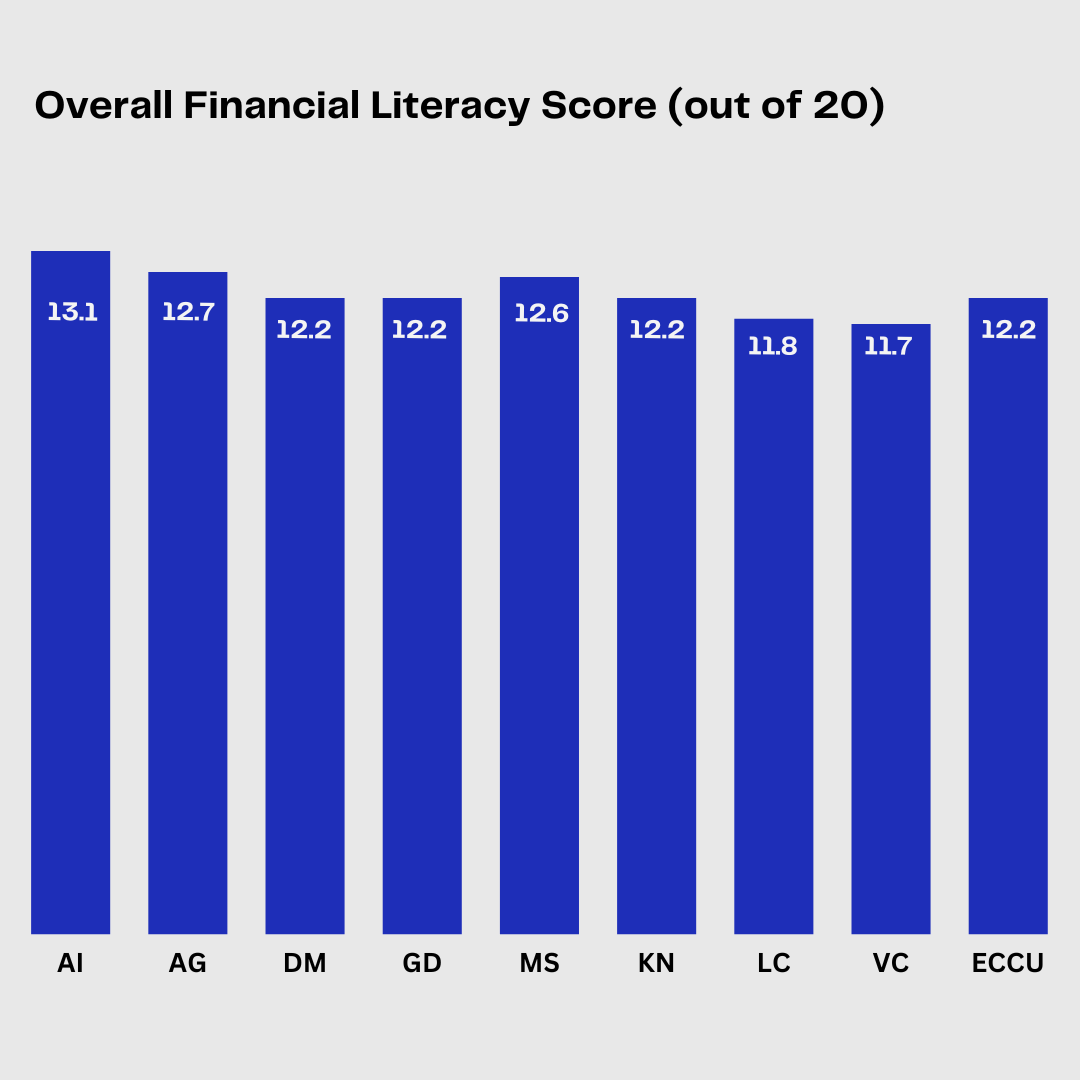 Overall Financial Literacy Score Overall Financial Literacy Score