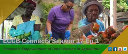 ECCB Encourages Empowerment of Rural Women in Agriculture ECCB Encourages Empowerment of Rural Women in Agriculture
