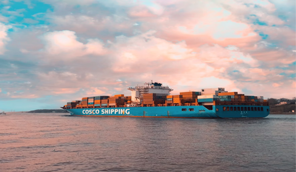 Supply Chain Resilience – An Imperative for the ECCU