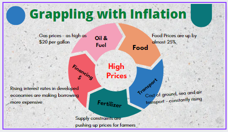 ECCU: Grappling With Inflation